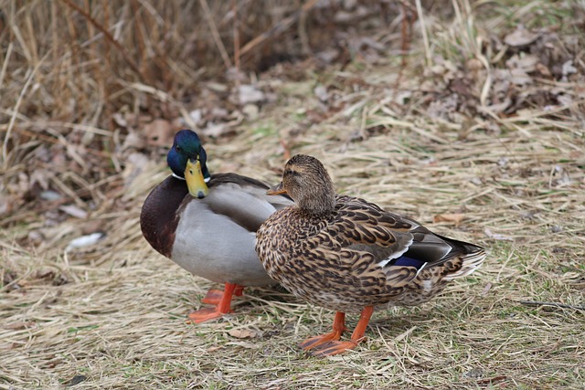 Sådan knækker du koden: Tips til at løse svære krydsord