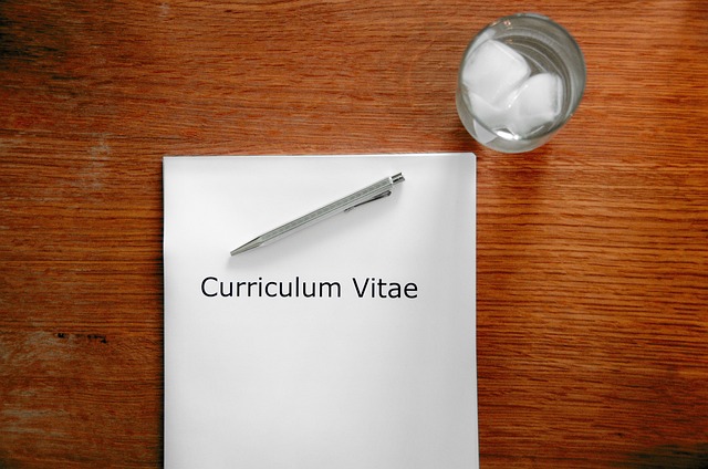 The Dos and Don'ts of Writing an Effective CV