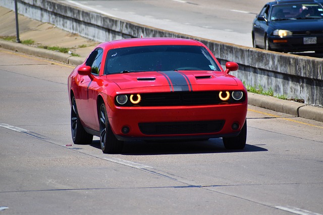 Testet i skoven: De bedste pandelamper til trailløbere i 2024